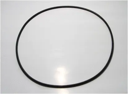 Seal Ring, wheel hub planetary gear (19019093)