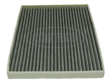 Filter, cabin air (80000770)