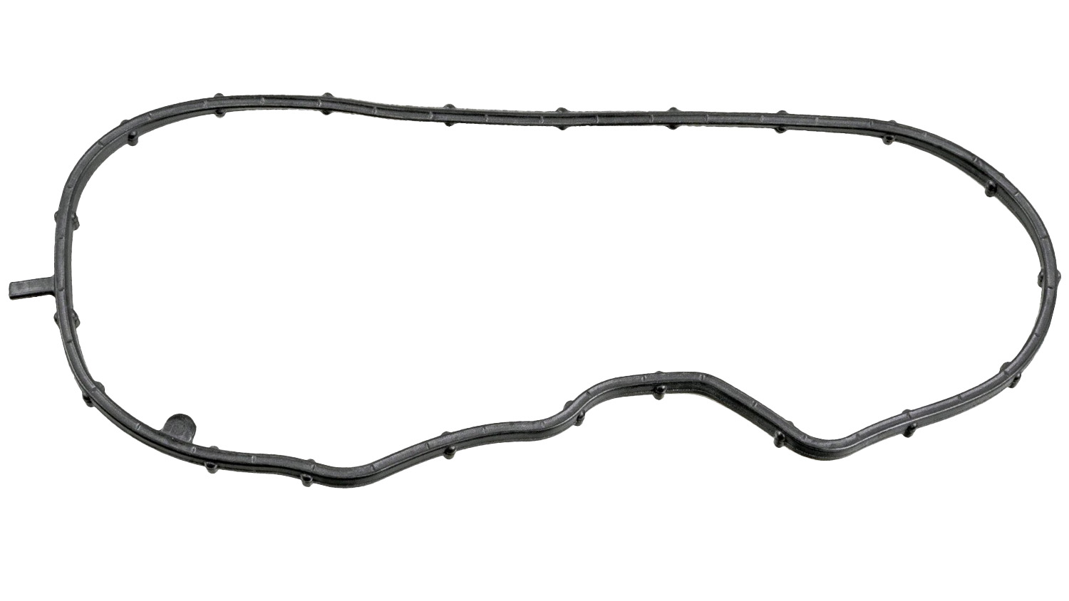 Gasket, timing case (49115982)