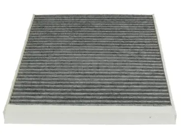 Filter, cabin air (80000776)