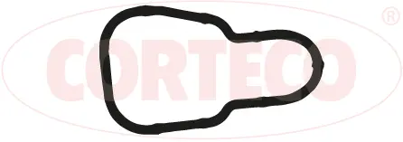 Gasket, intake manifold (450164H)