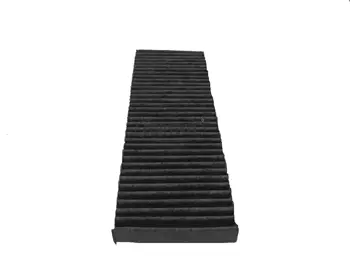 Filter, cabin air (80000786)