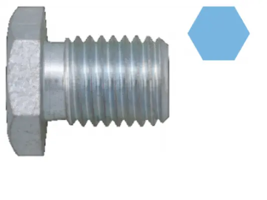 Screw Plug, oil sump (220074H)
