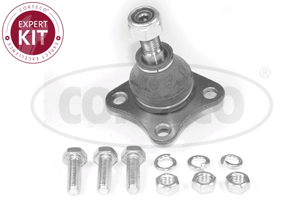 Ball Joint (49399849)