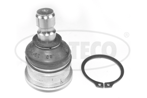 Ball Joint (49400543)