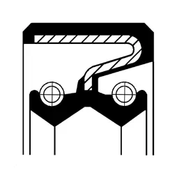 Shaft Seal, wheel hub (49378685)