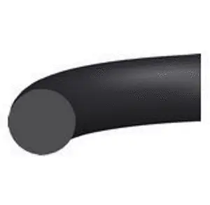 Seal Ring (21652316)
