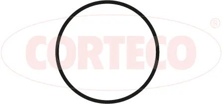 Gasket, exhaust pipe (027441H)