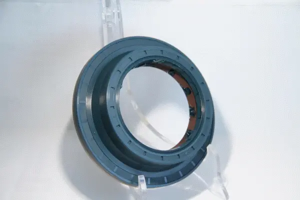 Shaft Seal, differential (01017059B)