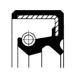Shaft Seal, differential (12011168B)