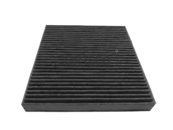 Filter, cabin air (80000781)