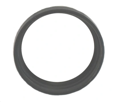 Shaft Seal, differential