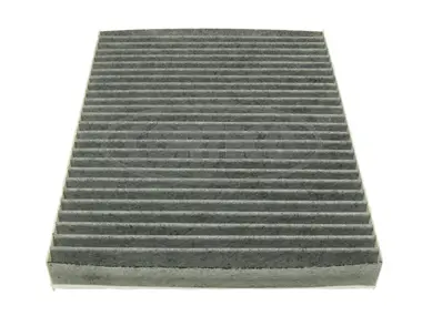 Filter, cabin air (80000785)