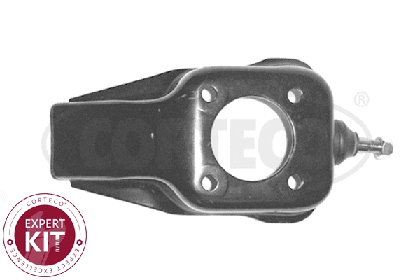 Control/Trailing Arm, wheel suspension (49397069)