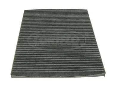 Filter, cabin air (80000760)