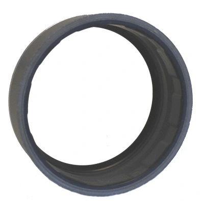 Shaft Seal, differential