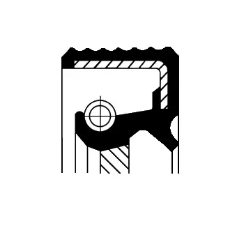 Shaft Seal, crankshaft (20015455B)