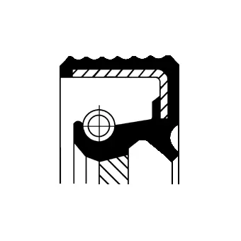 Shaft Seal, crankshaft (12019078B)
