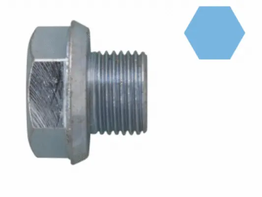 Screw Plug, oil sump (220143S)