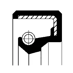 Shaft Seal, wheel hub (12010963B)