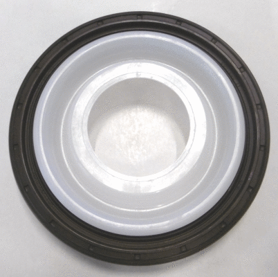 Shaft Seal, crankshaft (12015257B)