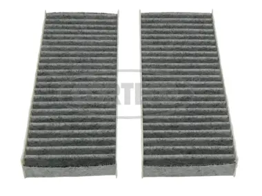 Filter, cabin air (80000766)