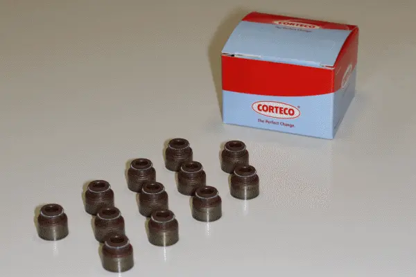 Seal Set, valve stem (19036082)