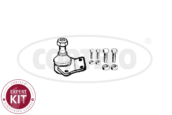 Ball Joint (49400884)