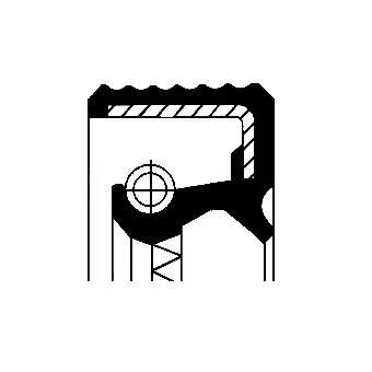 Shaft Seal, crankshaft (01019928B)