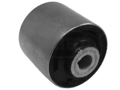 Mounting, control/trailing arm (80001096)