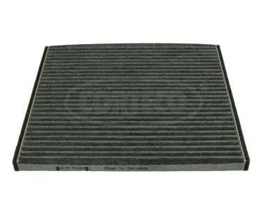Filter, cabin air (80000771)