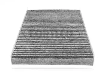 Filter, cabin air (80000430)