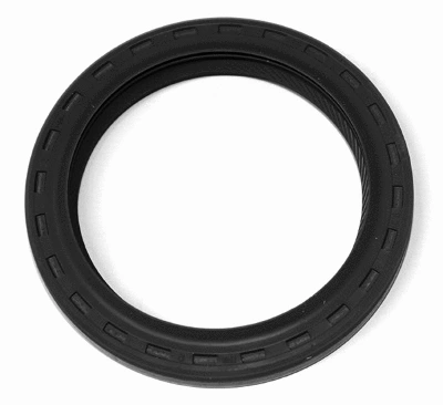 Shaft Seal, crankshaft (20029783B)