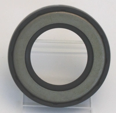 Shaft Seal, differential