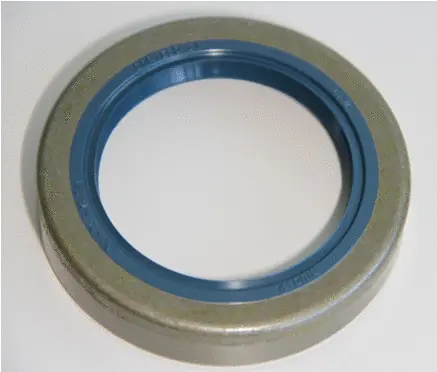 Shaft Seal, wheel hub (12013760B)