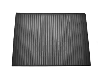 Filter, cabin air (80001458)