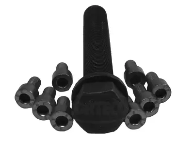 Bolt Set, crankshaft pulley (80001262)