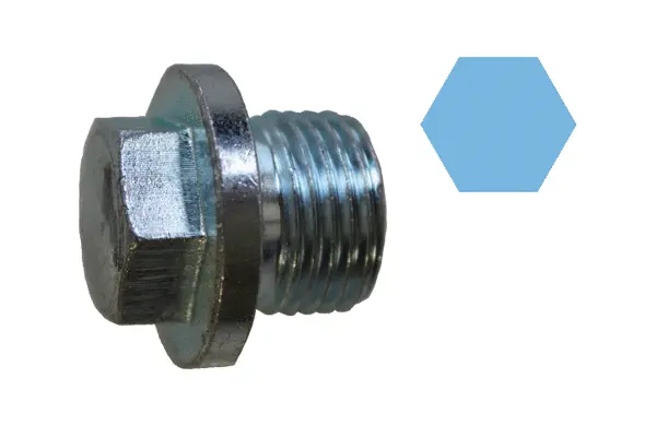 Screw Plug, oil sump (220082H)