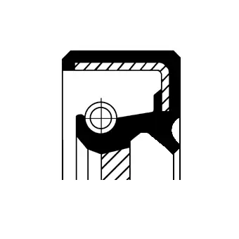 Shaft Seal, crankshaft (19026732B)