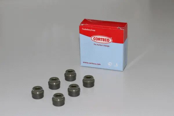 Seal Set, valve stem (19036421)