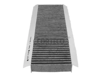 Filter, cabin air (80000624)