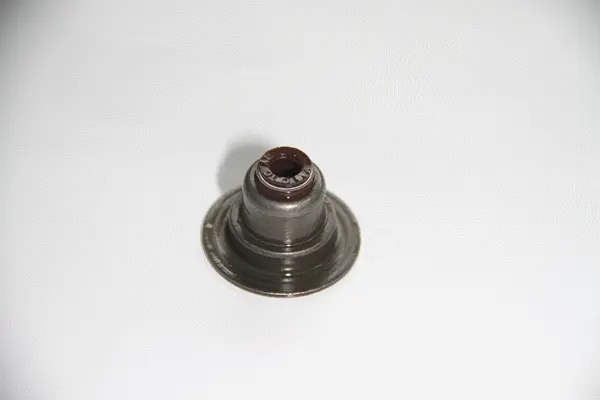 Seal Ring, valve stem (19036941)