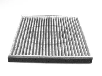 Filter, cabin air (80000419)
