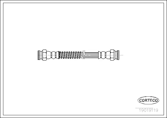 Brake Hose (19019119)