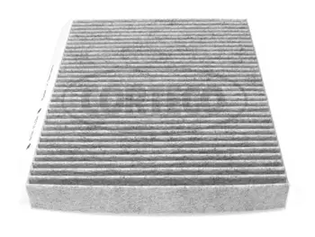 Filter, cabin air (80000429)