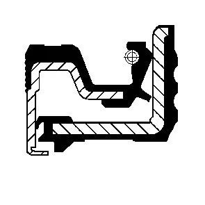 Shaft Seal, differential (12019512B)