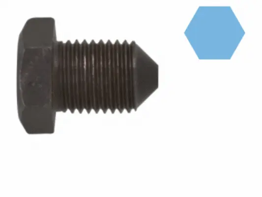 Screw Plug, oil sump (220079H)