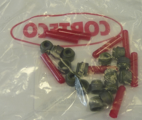 Seal Set, valve stem (19026849)