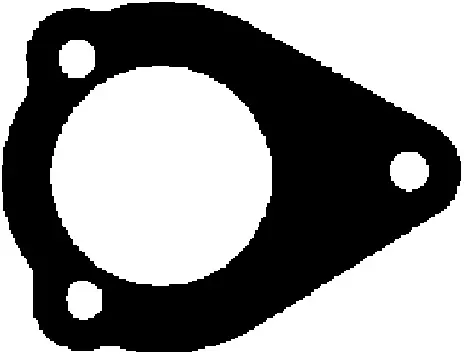 Gasket, exhaust pipe (027496H)
