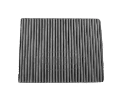Filter, cabin air (80001455)
